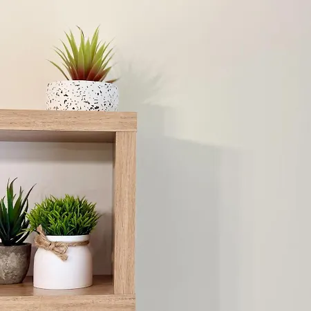 Narcis Nest Варна
