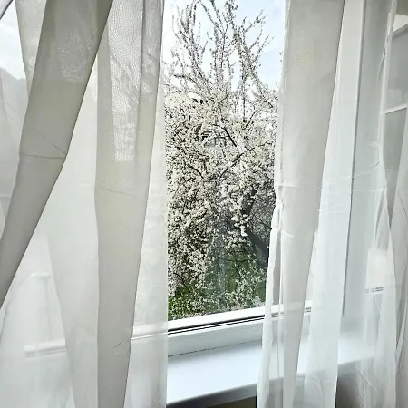 Апартаменти Narcis Nest